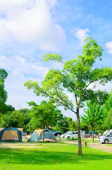 キャンプの画像